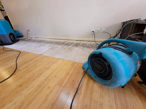 Professional Flood Damage Cleanup technician working in Euless, TX